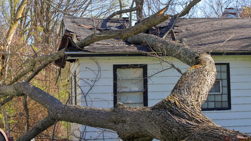 hurricane helene roof damage rock hill sc