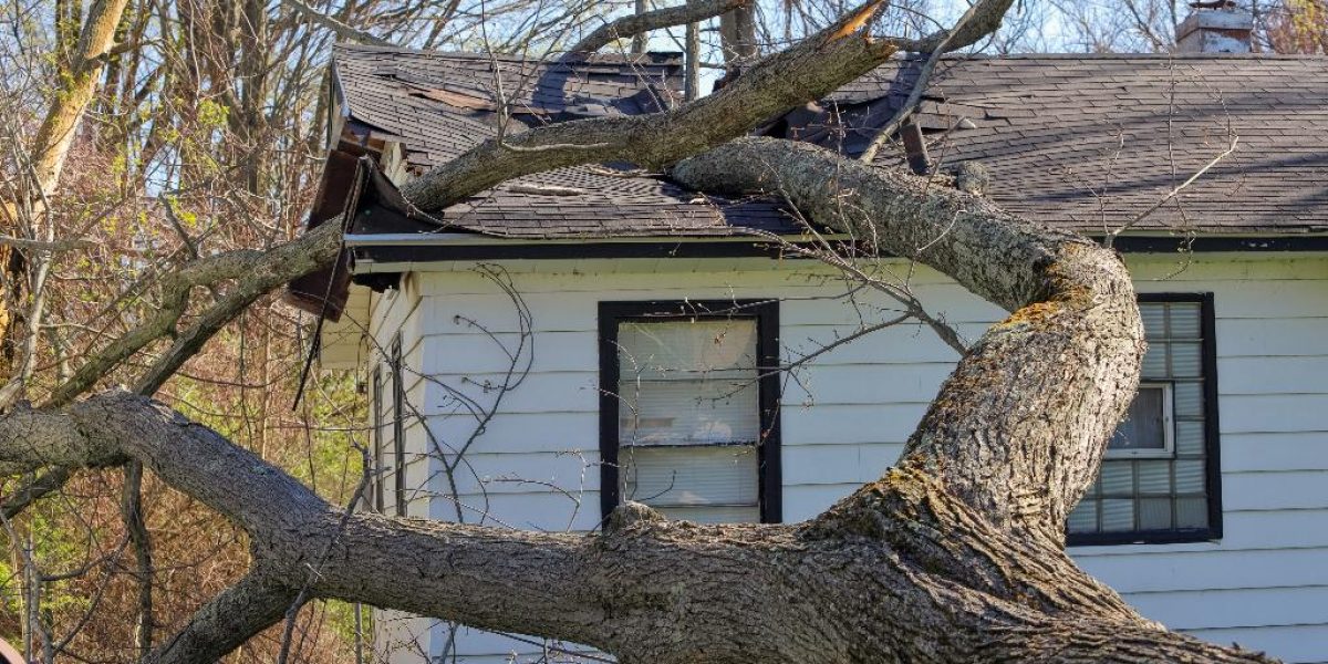 hurricane helene roof damage rock hill sc